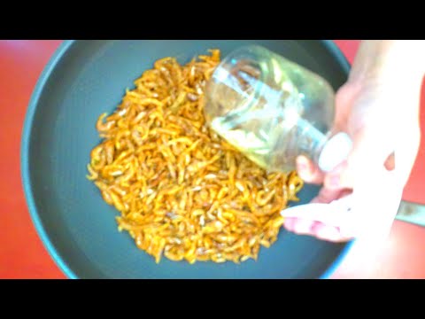 [Savory Shrimp Powder] Try making shrimp powder like this.  It will enhance the richness.