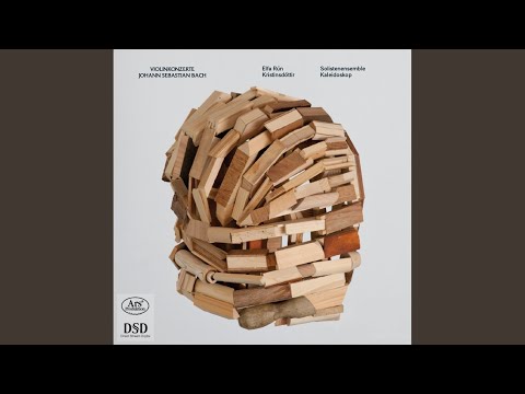 Concerto for 2 Violins in D Minor, BWV 1043: III. Allegro
