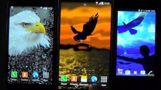 Birds live wallpaper for Android phones and tablets screenshot 1