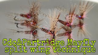 CDC&Partridge Mayfly (Split Wing Technique)