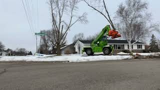 Appleton, WI Tree removal