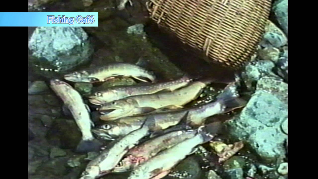 #049 テンカラの足跡を訪ねて　大学教授　石垣尚男