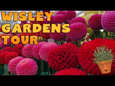 RHS Wisley Gardens