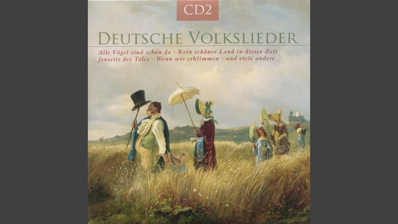 Es stehen drei Birken auf der Heide