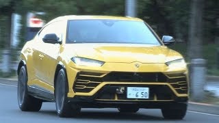 【動画】ランボルギーニ・ウルス 試乗インプレッション 試乗編