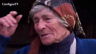 GASTRONOMIA: "BOLOS FINTOS DE CARDIGOS"