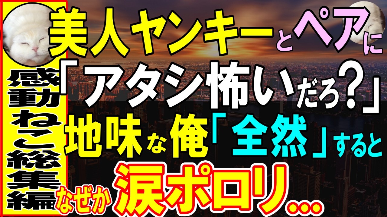 【感動する話】地味すぎる俺が校内１最恐のヤンキー女子高生修学旅行でペアになり観光したら「アタシを怖くないの？」俺「全然」→20年後信じられない奇跡が起こり…【いい話・泣ける話・朗読】