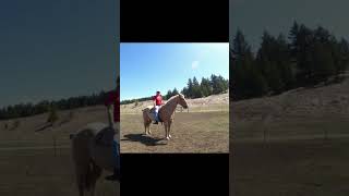 HOW TO RIDE THE CANTER ON AN UNRULY HORSE BAREBACK!!!#shorts#horse 🐎😬