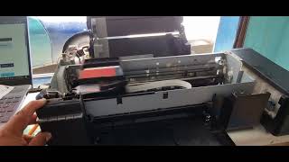 Epson L805 no imprime, marca atasco de papel, todas las luces parpadean