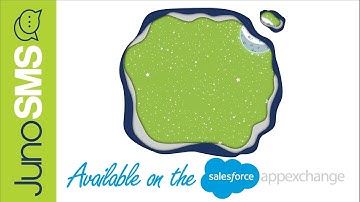 Salesforce SMS Text Messaging Using JunoSMS