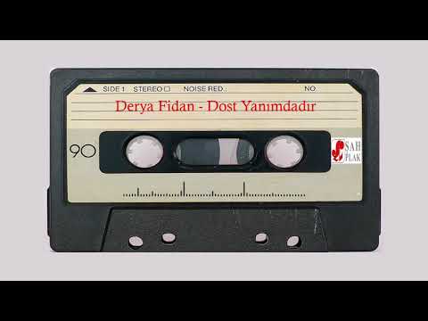 Derya Fidan - Baktıkça Yollara ( Şah Plak 1988 )