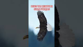 DEUS VAI RENOVAR SUAS FORÇAS #reflexão #motivacional #palavraquesalva #deusnuncafalha #jesus