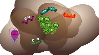 The Good, the Bad and the Ugly of Poop | Science Spotlight