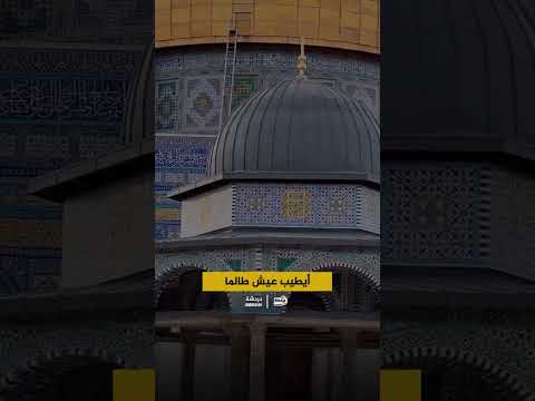 وطني يئن من الجراح 