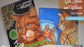 {Colorit} Cats, Kittens, and Wildcats By Terbit Basuki, Colorit: Best Friends screenshot 4