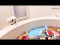 愛犬のおもちゃを全部洗ってみたら大変なことに