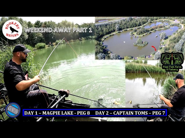g loomis g2 rods G.Loomis IMX Walleye Universal Spinning Rod YJ1013BT+B~PJ1001T+B DC BRAKE｜REELS｜SHIMANO FISHING TECHNOLOGY Color:C# heightened balance