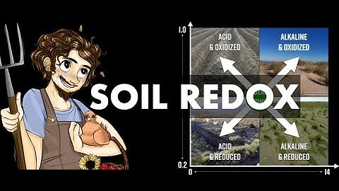 SOIL REDOX pt 1 | Regenerative Soil with Matt Powers