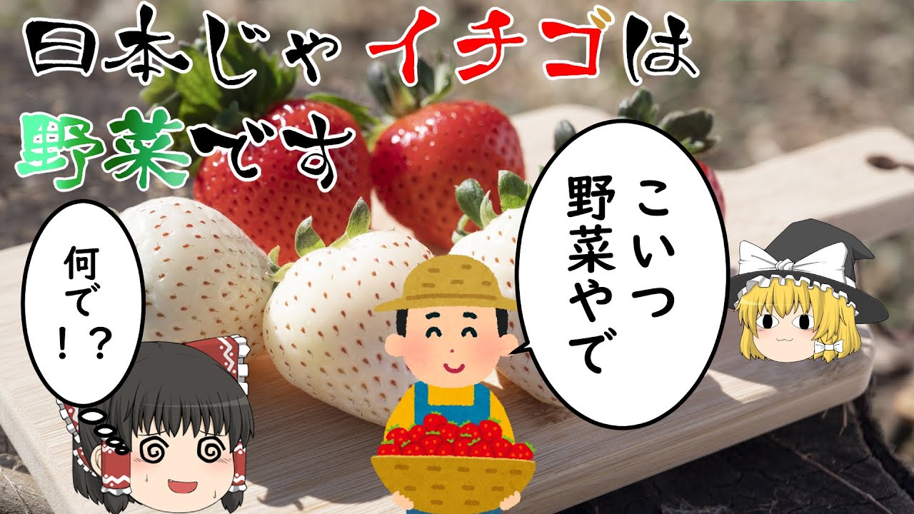 ゆっくり解説 野菜 果物 曖昧なイチゴについて 野菜 Youtube ゆっくり解説 野菜 果物 曖昧なイチゴについて 野菜 Youtube