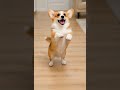 ComfyUI 00016