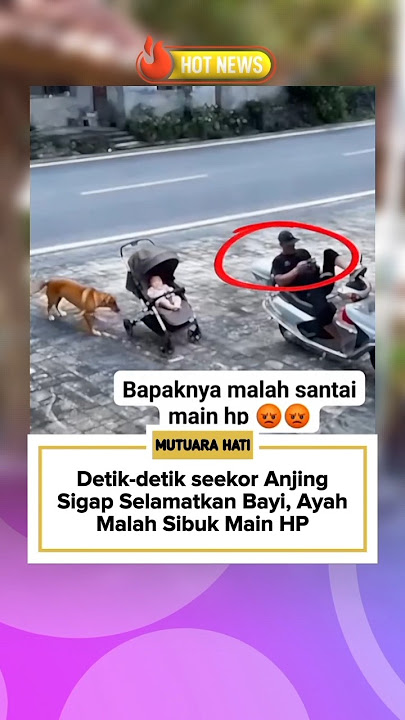 Luckily there is a rescue dog #trendingshorts #viralshorts