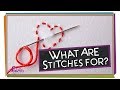 What Are Stitches For?