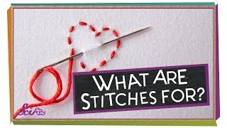 What Are Stitches For? Net Worth