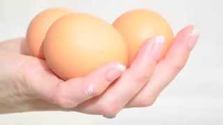 are eggs as bad as cigarettes EATING 1 EGG PER DAY IS JUST SMOKING 5 PER DAY FOR LIFE EXPECTANCY Greger, M.D, Michael "Eggs vs. Cigarettes in Artherosclerosis". NutritionFacts.org video. Volume 12. March 11th Are eggs really as bad