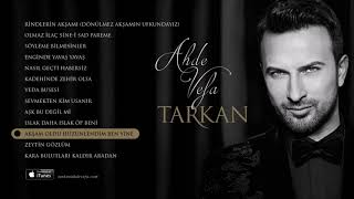 Tarkan - Akşam Oldu Hüzünlendim Ben Yine (Turkish Classical Music) Resimi