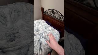 spider in my bed #funny #comedy