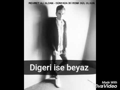 Mehmet Ali ALDAN - Dünyada İki renk gül olsun