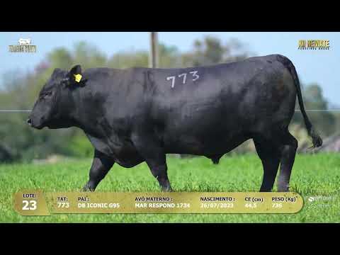 LOTE 023
