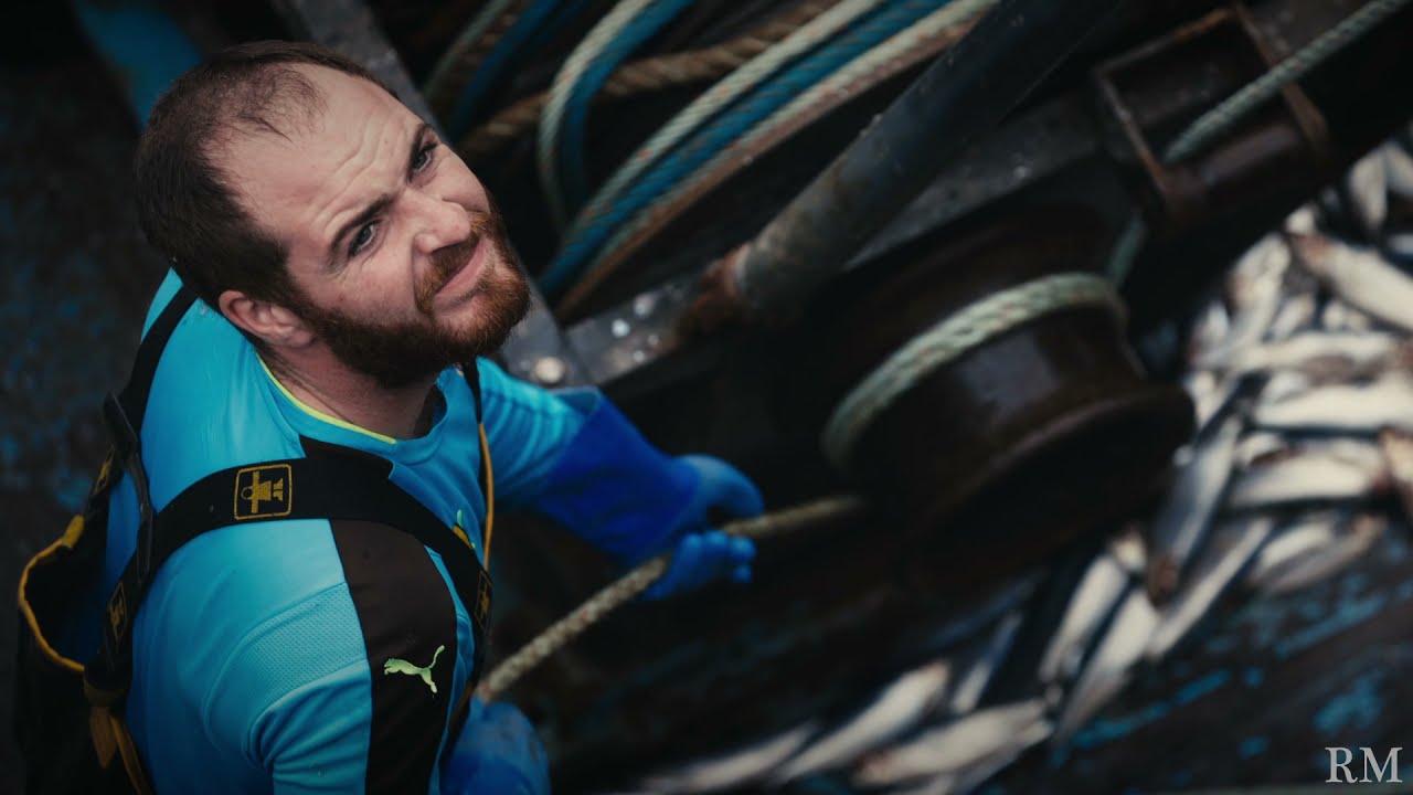 Ardglass harbour landing Herring