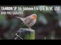 Nikon d3300 + Tamron SP 70-300mm f/4-5.6 Di VC USD bird photography test (sample photos)