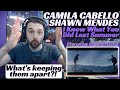 Shawn Mendes Camila Cabello - I Know What You Did Last Summer Official Video Reaction