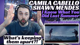 Shawn Mendes Camila Cabello - I Know What You Did Last Summer Reaction