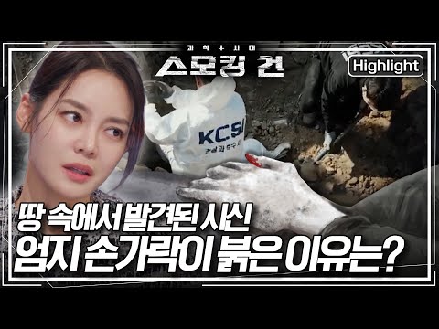 [스모킹 건] 녹슨 캔이 알려준 단서! 금발 여인과 붉은 엄지손가락 - 부산 의사 실종 사건 EP.82 l KBS 250218 방송