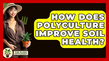 How Does Polyculture Improve Soil Health? - The Plant Enthusiast