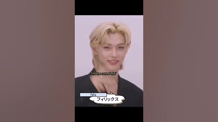 STRAY KIDS  Lee Shook