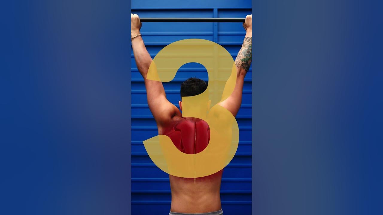 The PERFECT Pull-Up (5 Steps) The PERFECT Pull-Up (5 Steps)
