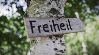 T-Wonder - Du bist nicht Allein