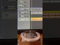 Use this as your Vocal chain base; it sounds awesome alone. #musicproducer #vocals #vocalchain