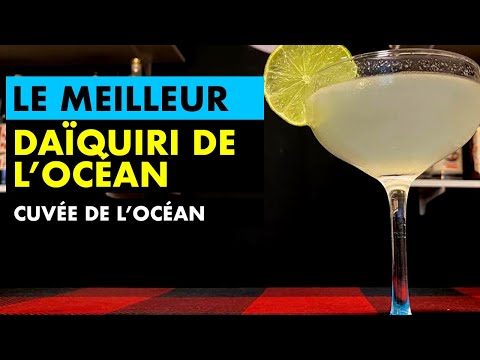 Vidéo: Que Peut-on Faire à Partir D'un Cocktail De La Mer