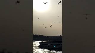 ‘’Ae Vefa’’ Seslendiren: İbrahim Özcan