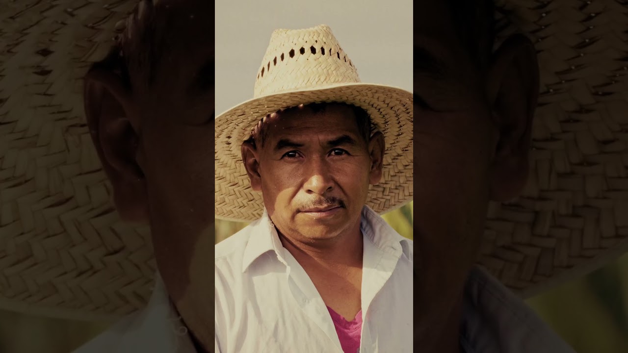 Асил Райцилла 