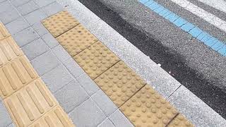 청주 ♿️B3번 버스 승차