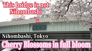 【Don't drop your wallet! Which Bridge is Nihombashi?】 Enjoy the Cherry Blossoms in Nihombashi, Tokyo