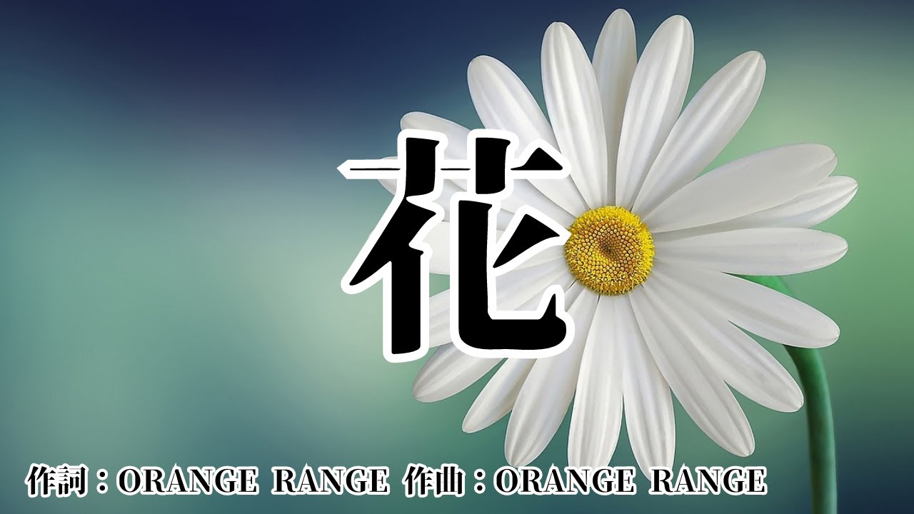 すべての美しい花の画像 50 花 Orange Range Pv