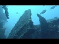 Deep shipwreck spearfishing  a huge bull shark jump scare