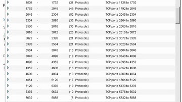 Naming a TCP port in CA NetQoS ReporterAnalyzer